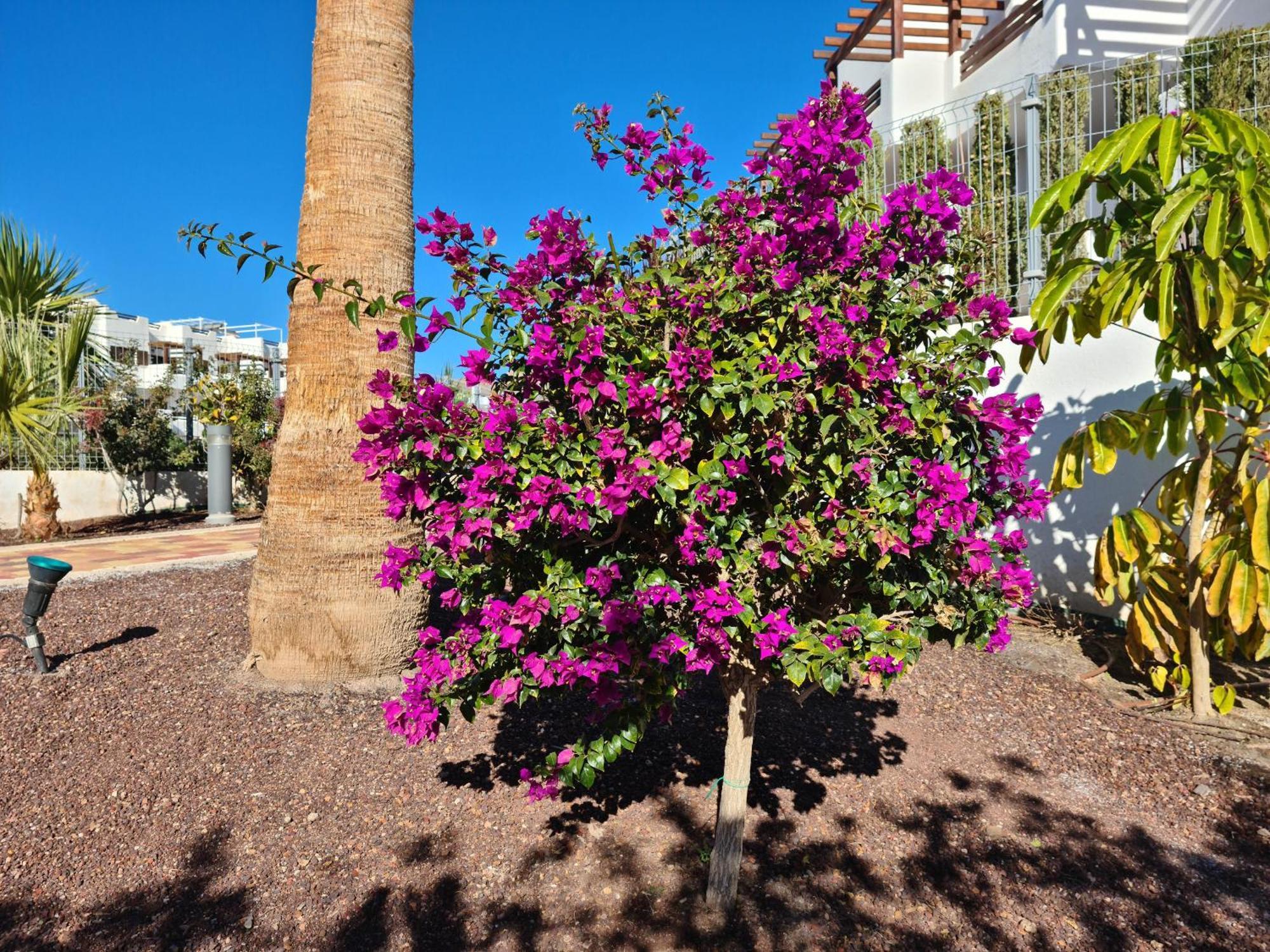 San Juan de los TerrerosEl Suenoアパートメント エクステリア 写真