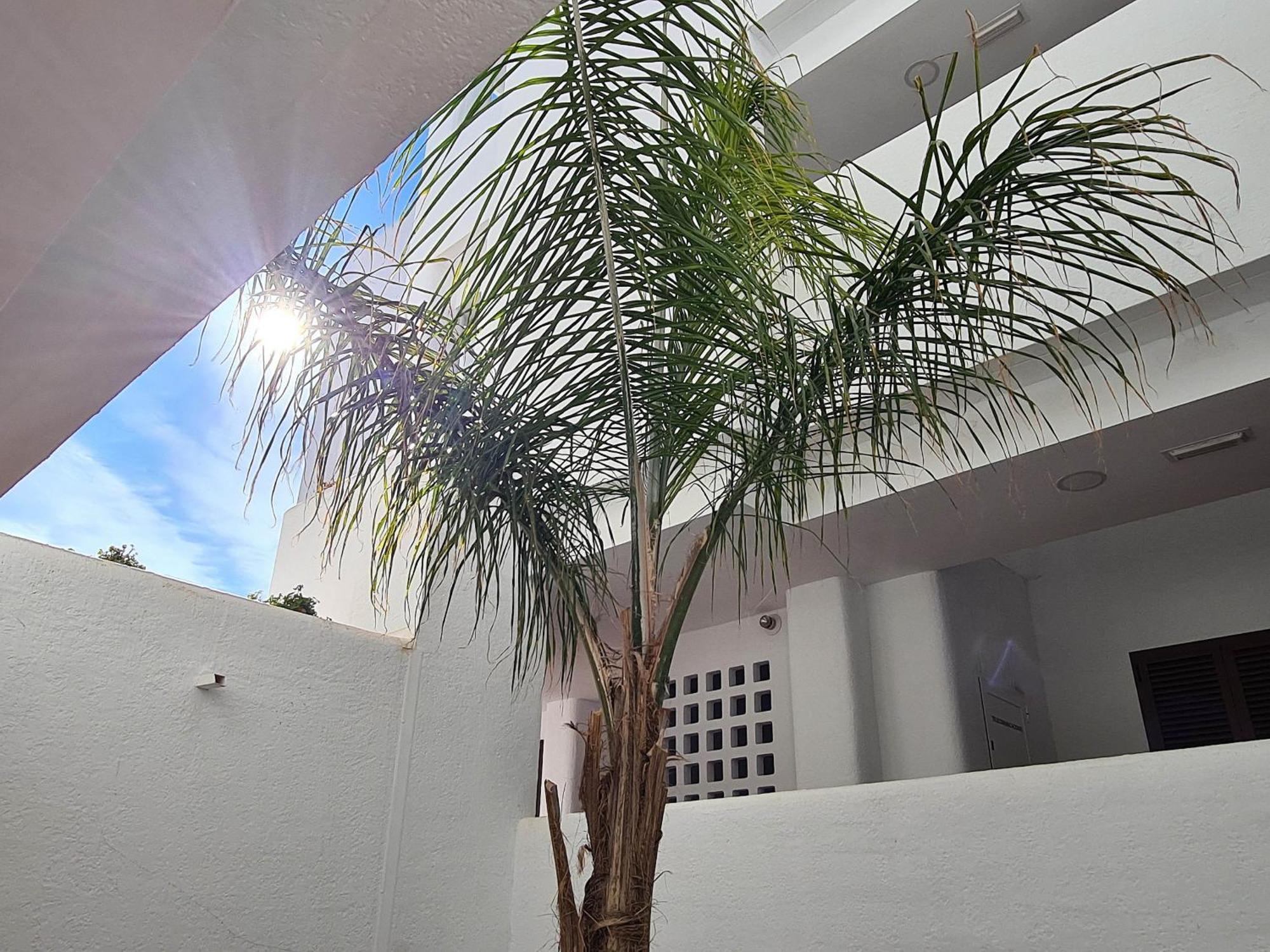 San Juan de los TerrerosEl Suenoアパートメント エクステリア 写真